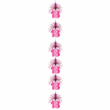 CASCADE COLUMN 18 PINK